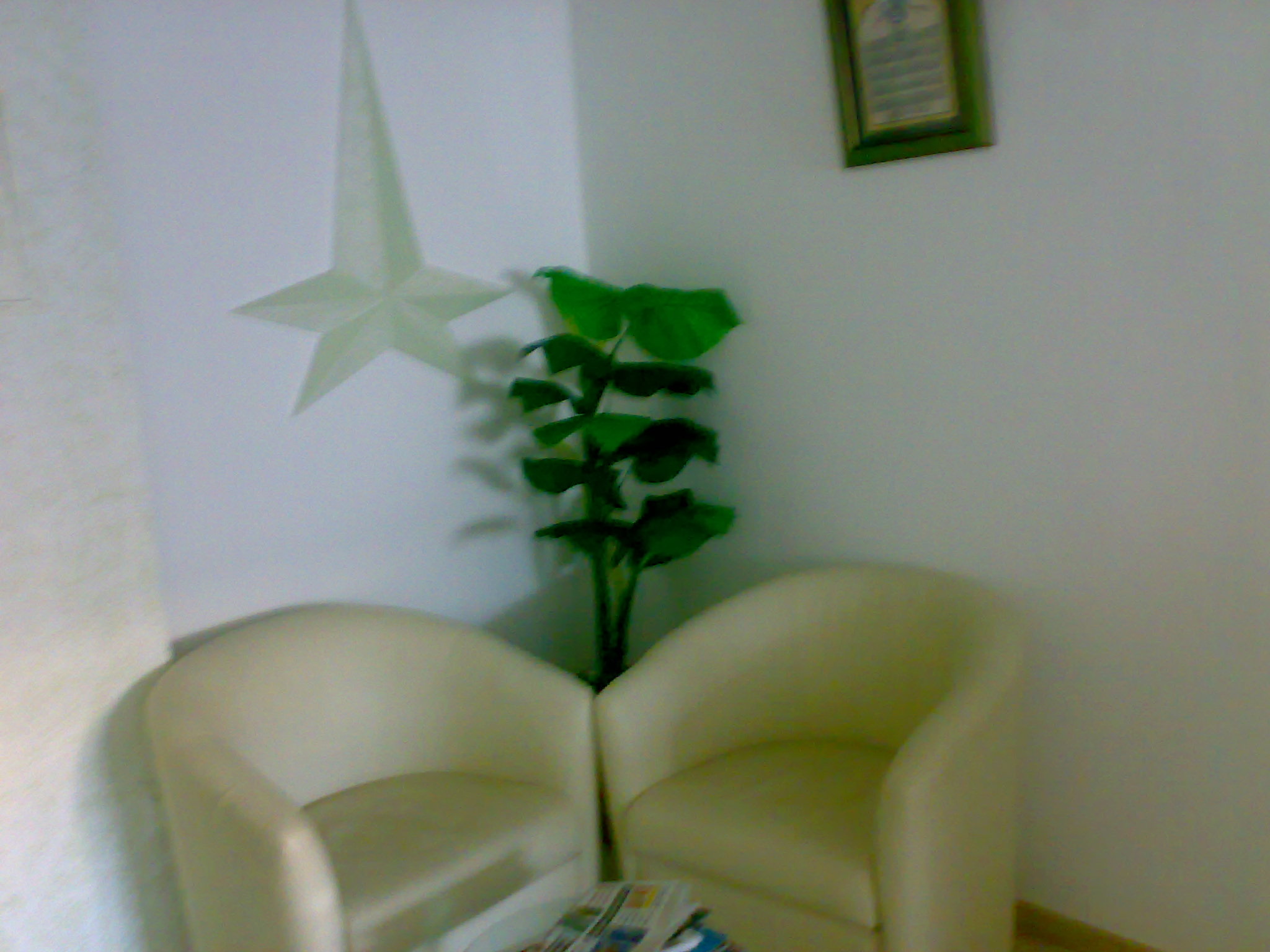 aaa image