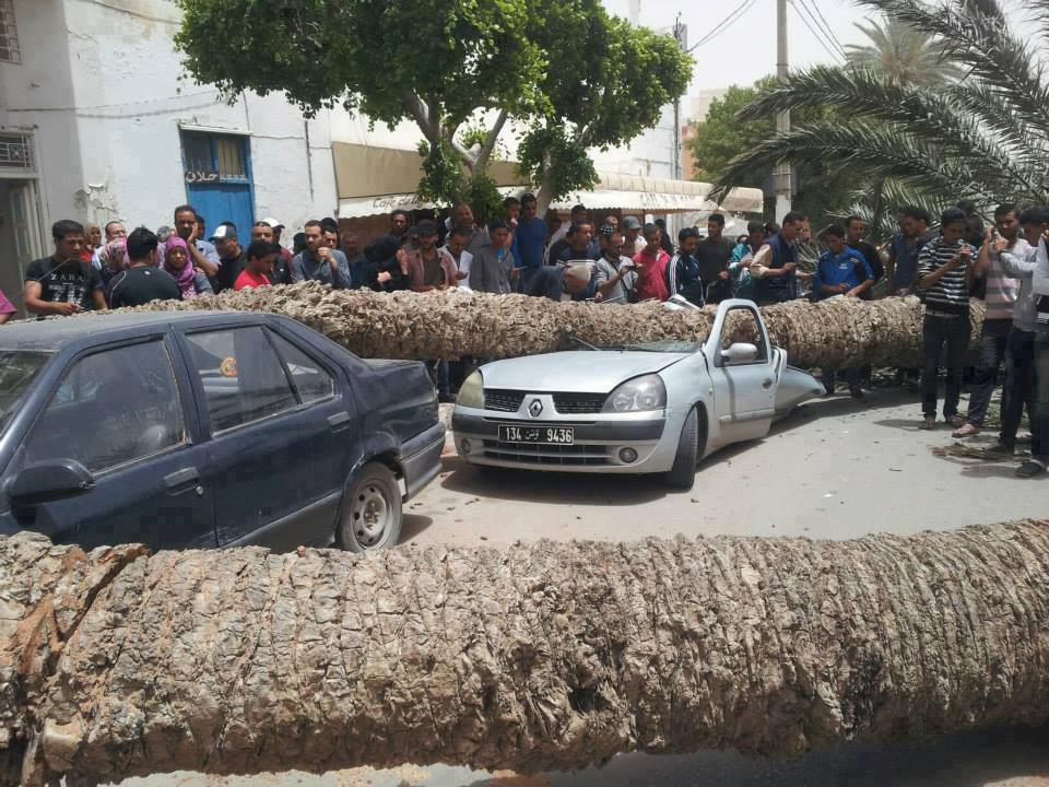 قابس: رياح قوية تتسبب في سقوط نخلتين على بعض السيارات