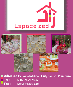 Espace Zed