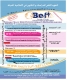 LES FORMATIONS  BEFI 